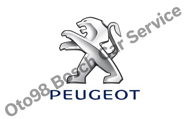 Kartal Peugeot Servisi